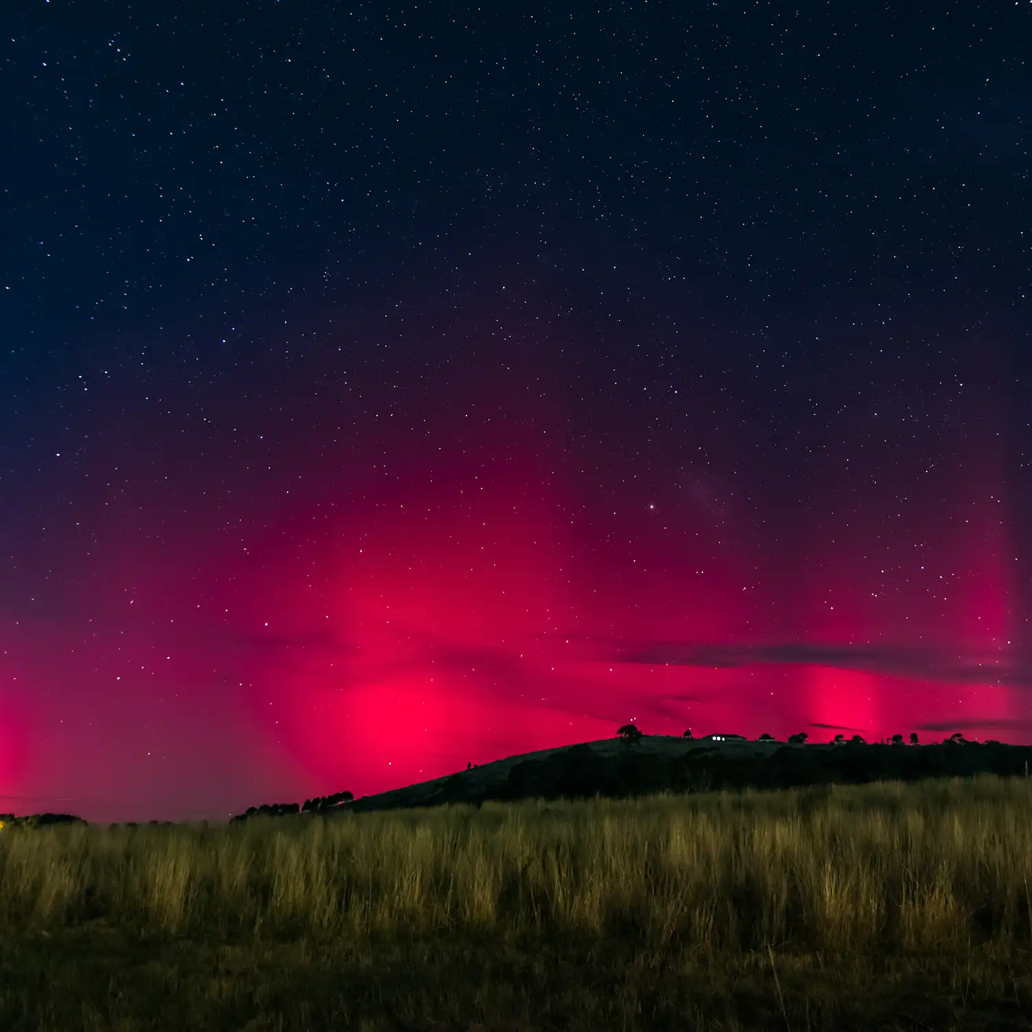 Stargazing Tours